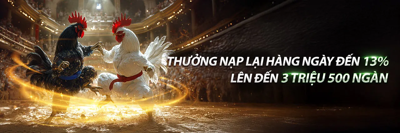 Đá gà trực tuyến kịch tính tại Bet8888 link mới